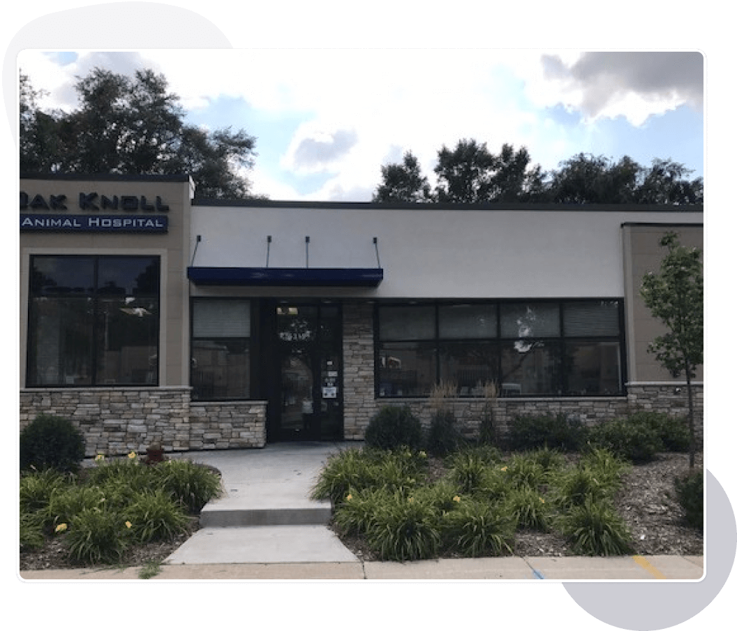 Oak Knoll Animal Hospital