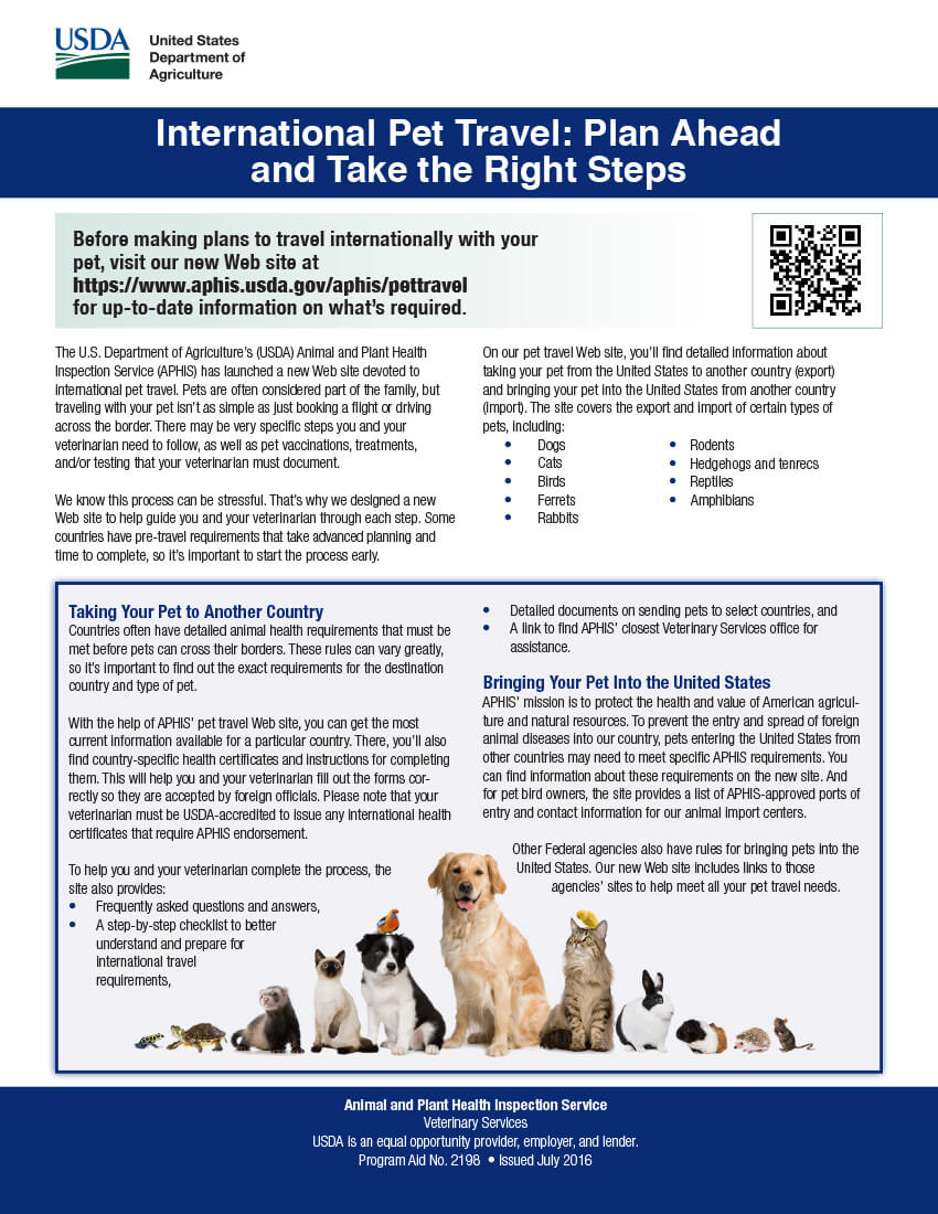 PetTravel-Travelers_Flyer