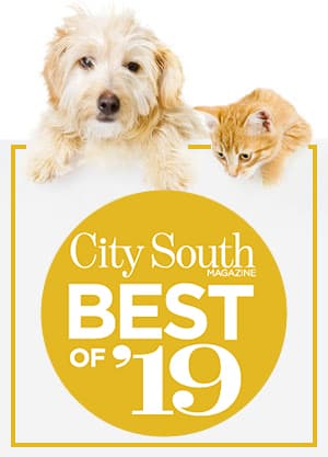 citysouth-best19